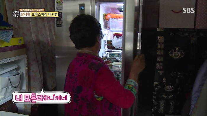 젊은층은 잘 모르는 SBS 꿀잼 예능.jpg | 인스티즈