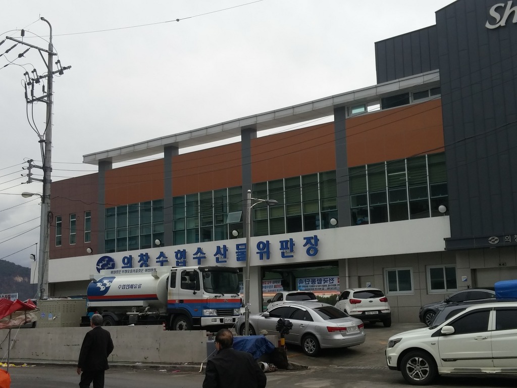 생선왕 이미지