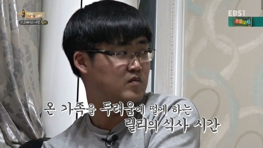 [세상에나쁜개는없다] 가족들에게 짖고 무는 강아지 릴리햏 | 인스티즈