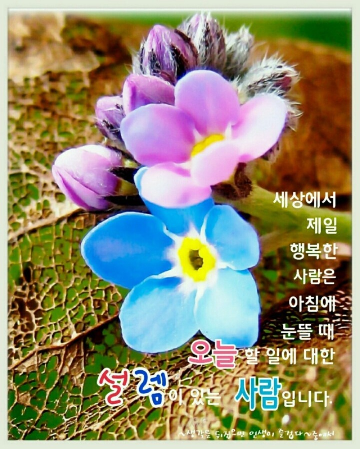 설렘 이미지
