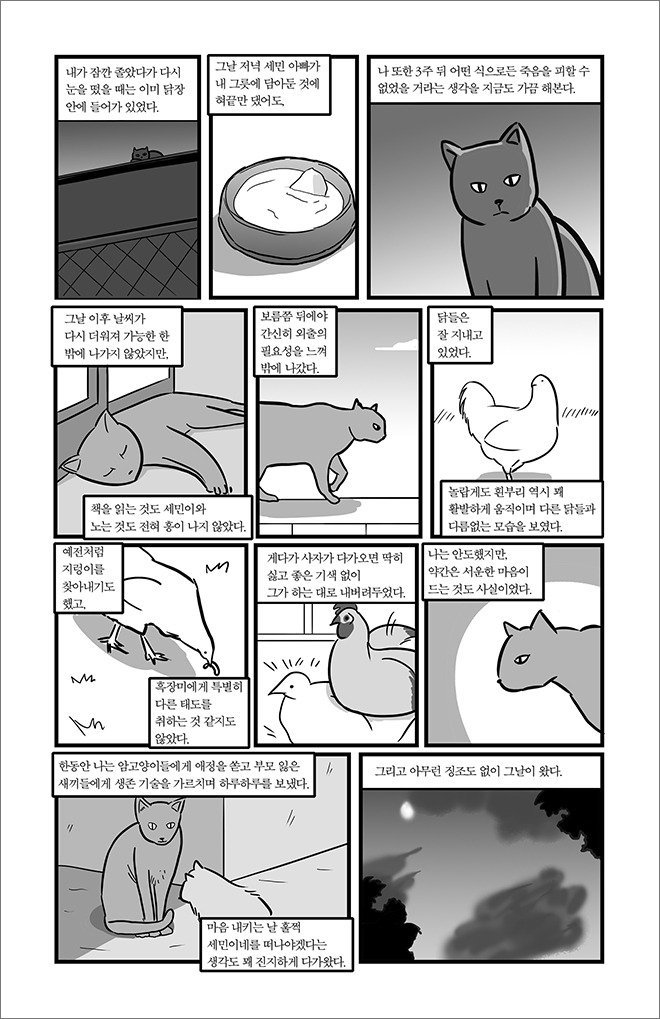 묘생만경 | 인스티즈