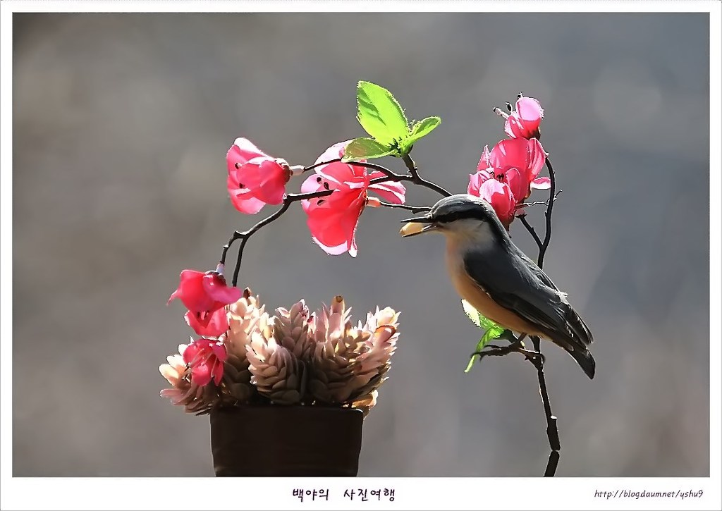 아름다운연출 이미지