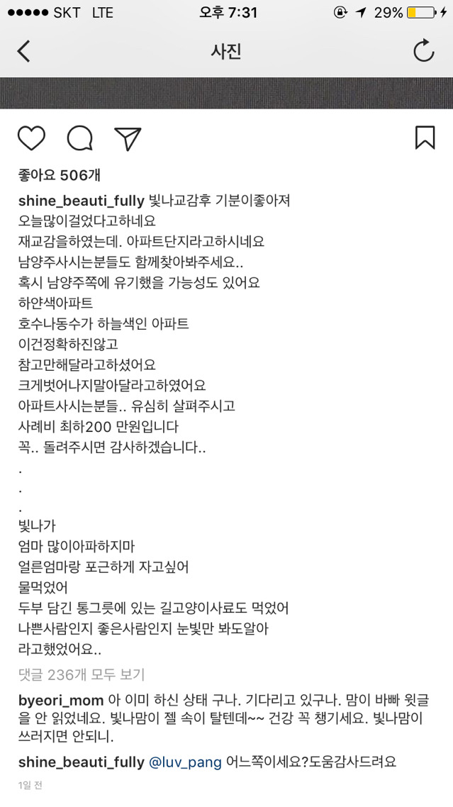 예비신랑이 유기한 빛나를 찾습니다 (동물농장 제보 참여 부탁드립니다) | 인스티즈