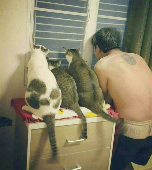 보까 이미지
