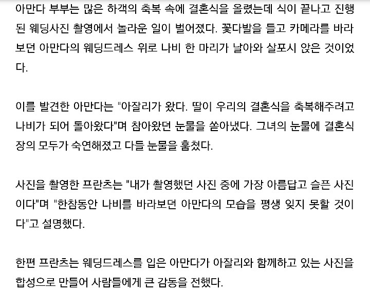 딸 떠나보낸 엄마의 웨딩드레스에 내려앉은 나비 | 인스티즈
