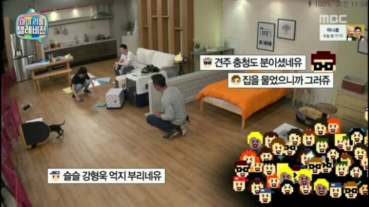 [마리텔] 강형욱 훈련사도 포기한 강아지 도비 | 인스티즈