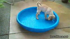 총체적 난국.gif | 인스티즈