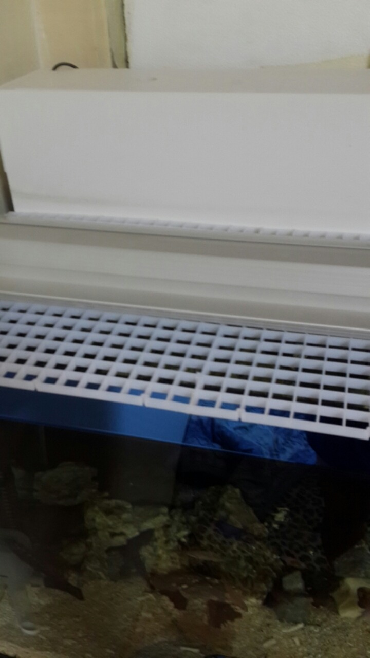 점프사 이미지