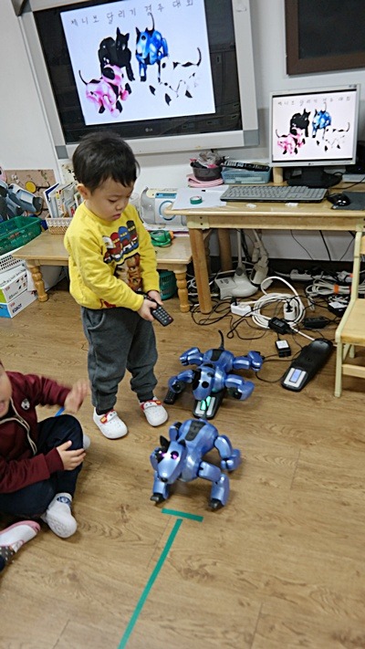 상상개나리 이미지