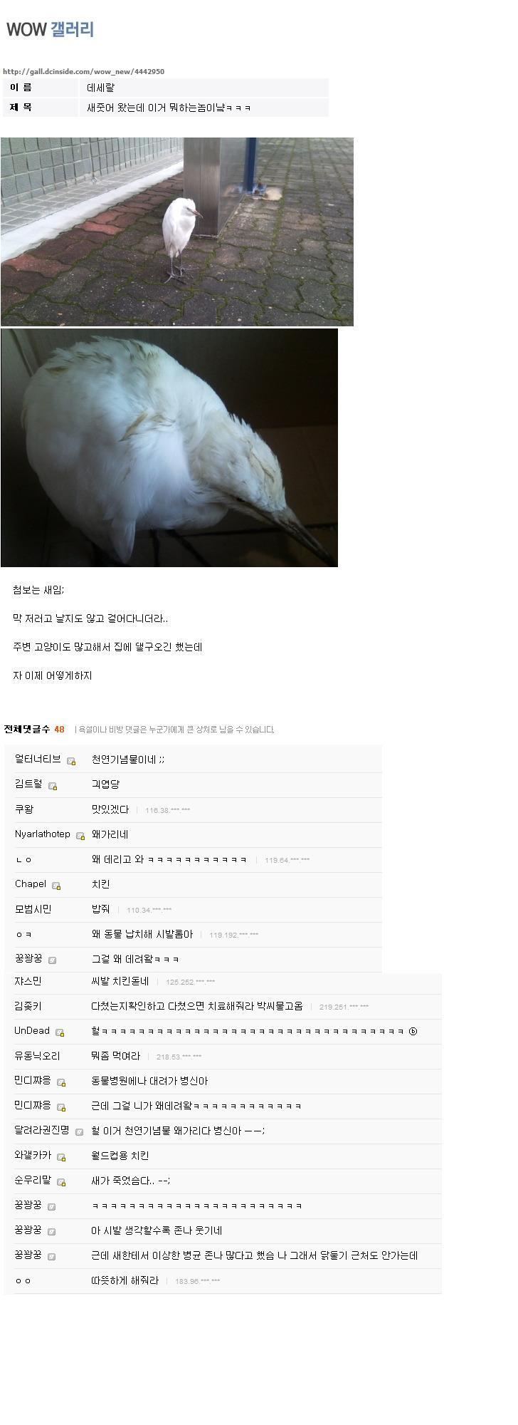 디씨의 흔한 줍기 클라스.jpg | 인스티즈