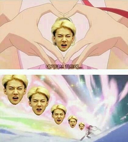 오예 이미지