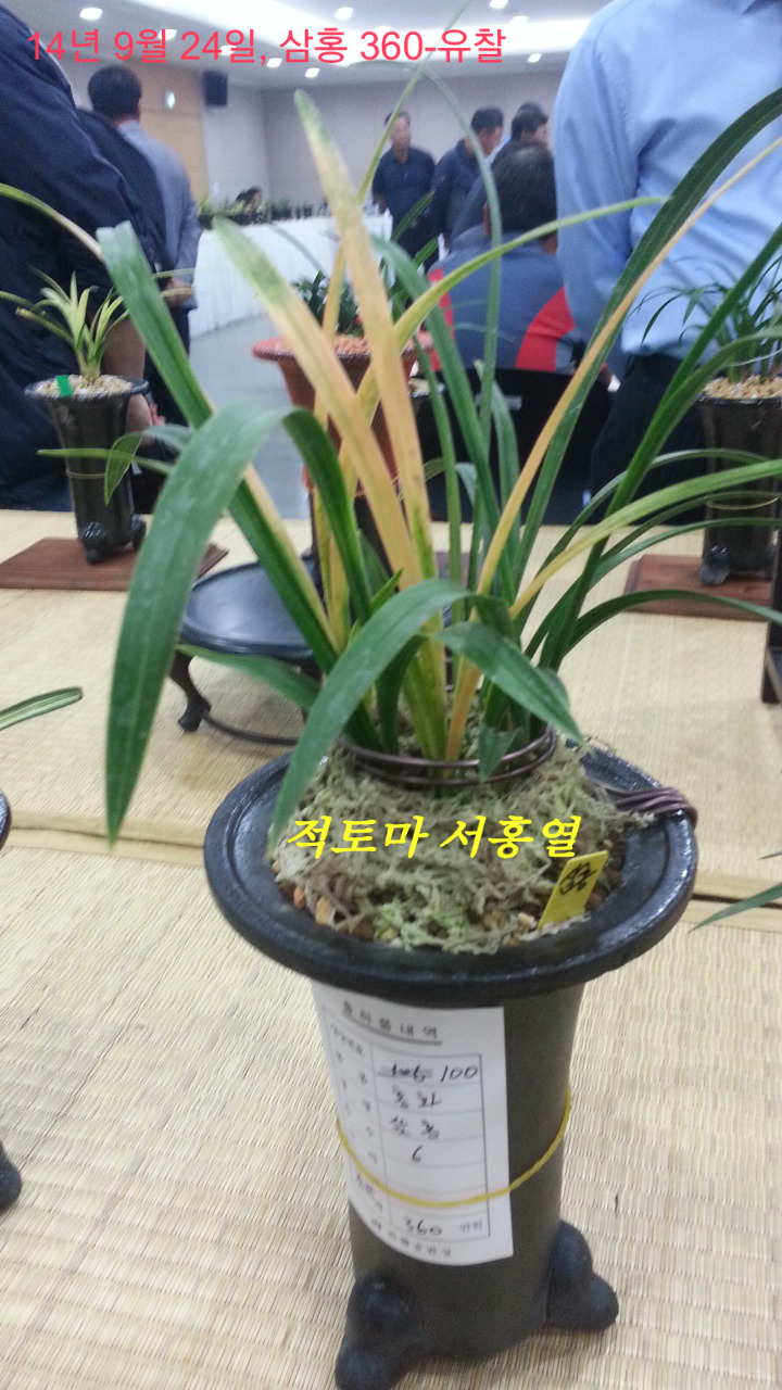 한국공판장 이미지