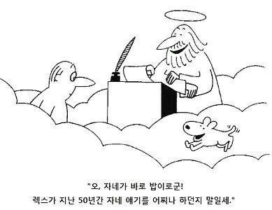 애완동물 키우는 사람 눈물주의 | 인스티즈