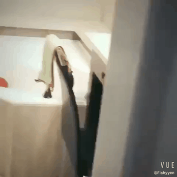 계속 쳐다보는 냥이.gif | 인스티즈