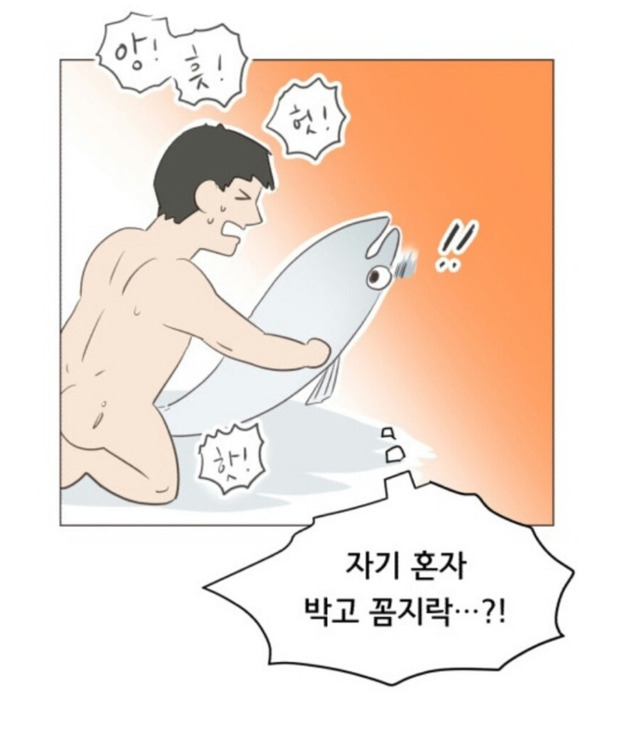 자박꼼 진짜 뜻 | 인스티즈