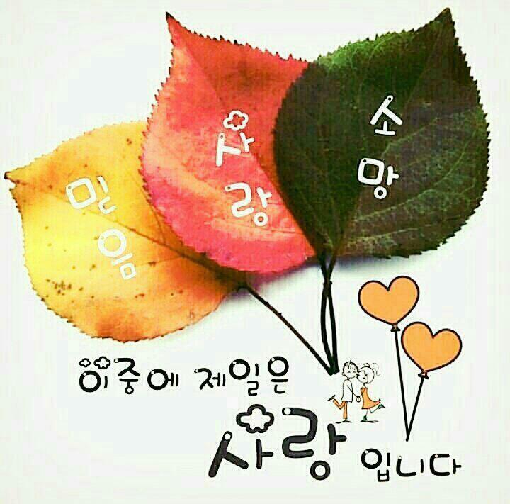11-13 이미지