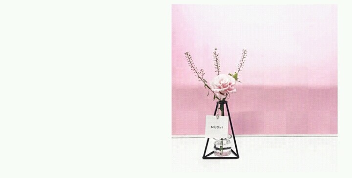 특이한 인테리어 소품들 | 인스티즈