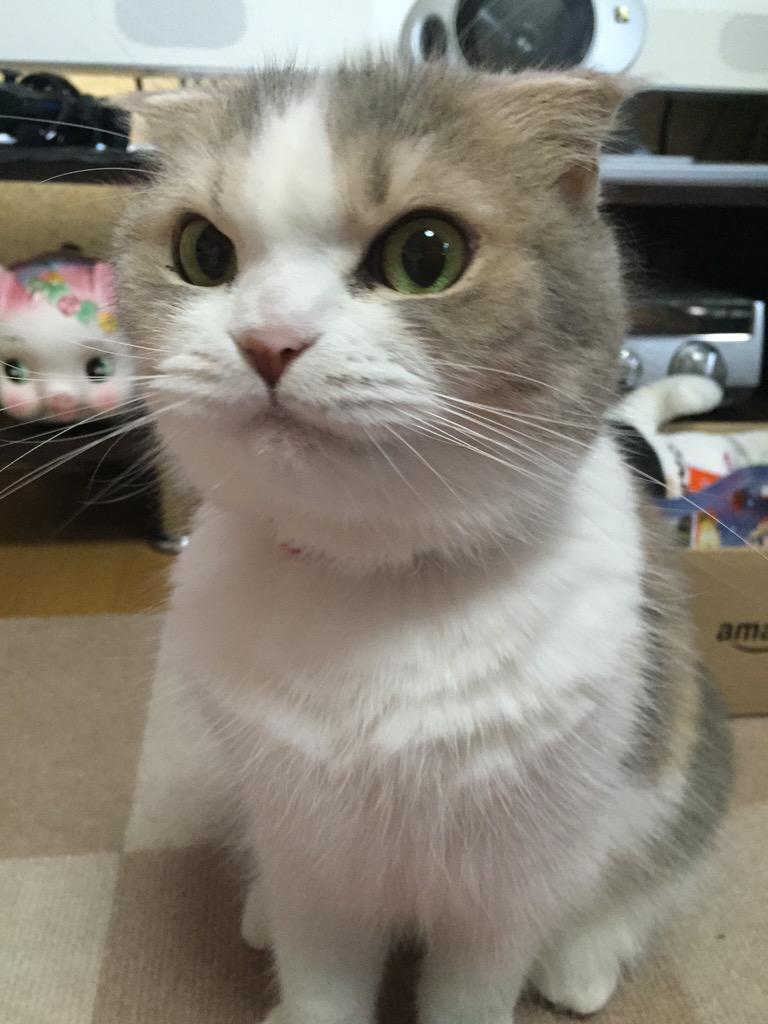 쳐다봐 이미지