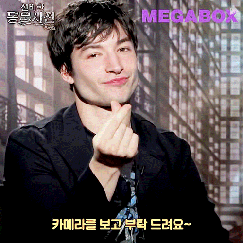 신비한 동물사전에 나온 배우의 여성관.jpg | 인스티즈