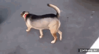 주인님 이제 출발합시다.gif | 인스티즈
