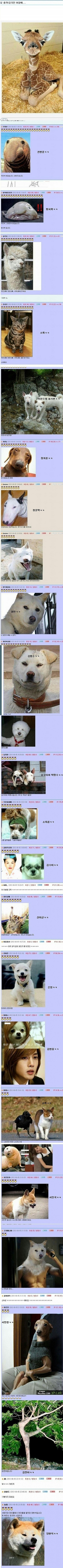 동물 닮은 연예인.jpg | 인스티즈