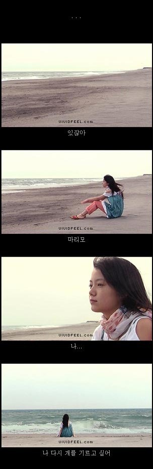 당신의 반려동물과의 이별을 생각해 본 적이 있습니까? | 인스티즈