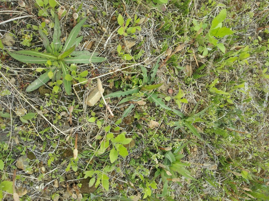 (주)서산 이미지