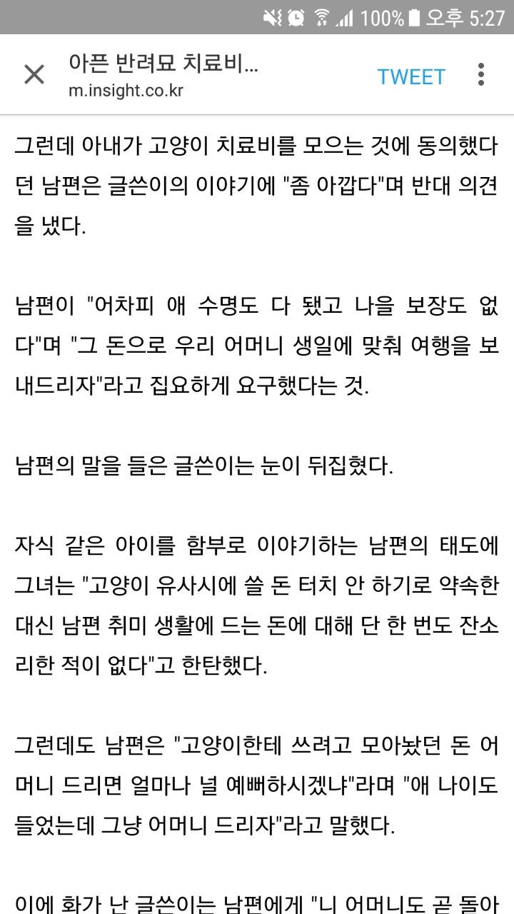 아픈 반려묘 치료비를 자기엄마 여행비로 주자는 남편.jpg | 인스티즈