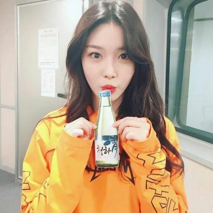 술시 이미지