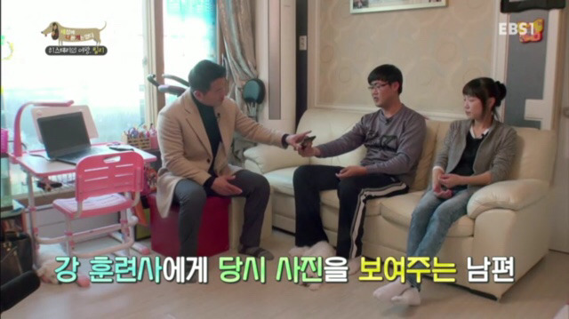 교배 업체에 보낸 후 사나워진 강아지 릴리 | 인스티즈