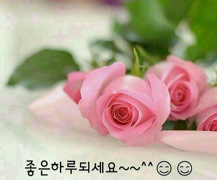 향기 이미지