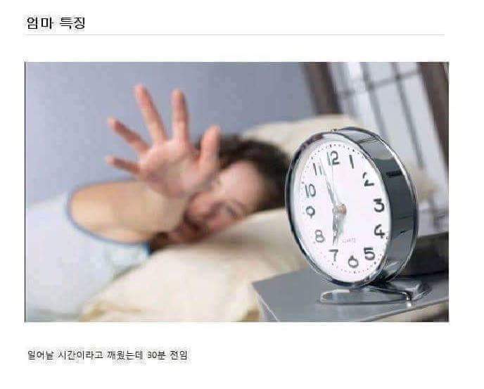 엄마들 특징 | 인스티즈