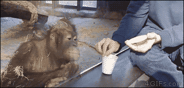 부장님께서 어디서 마술을 배워오셨다.GIF | 인스티즈