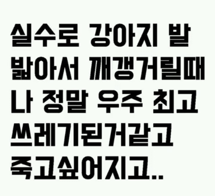강아지 키우는사람들 공감하는것 | 인스티즈