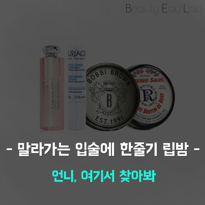 말라가는 입술에 한줄기 립밤 top7 | 인스티즈