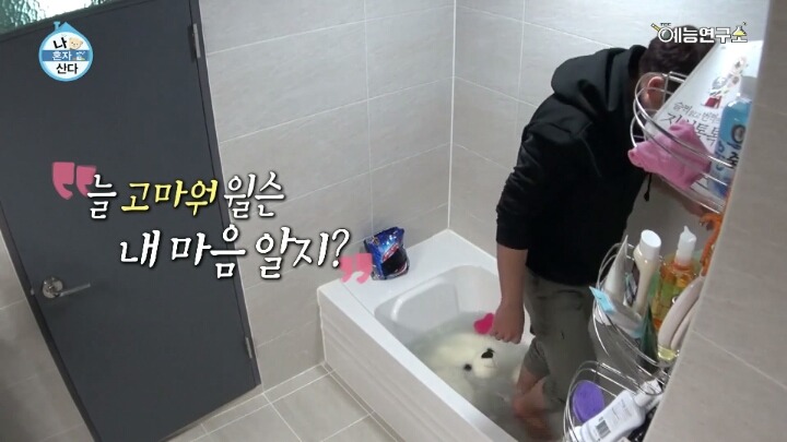 [나혼자산다] 윌슨 씻기는 전현무ㅋㅋㅋㅋㅋㅋㅋㅋㅋㅋㅋㅋ | 인스티즈