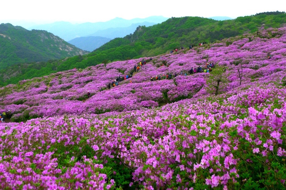 (주)참조은고속관광 이미지