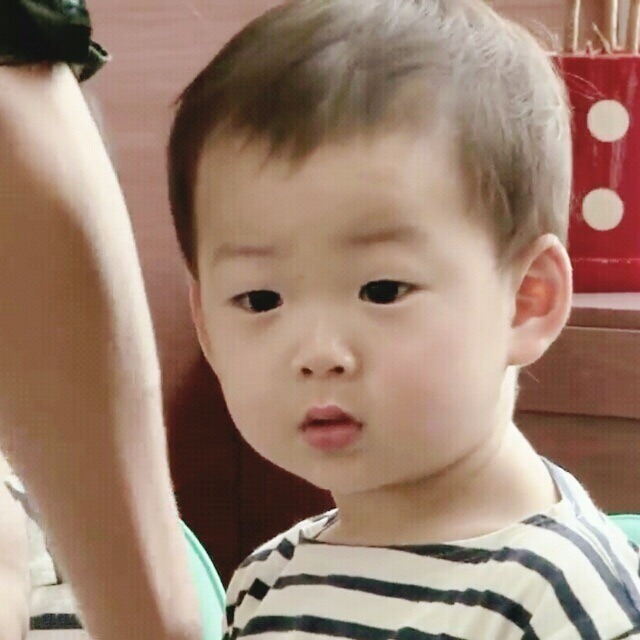 [슈돌] 볼살성애자가 올리는 우래기들 볼살 컬렉션(심장아픔 주의,사진많음주의) | 인스티즈