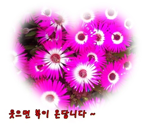 책상드러머 때문에 심란한 이 시국에 우리 횐님들 유우머 모음집 한번 읽고가세요~ | 인스티즈