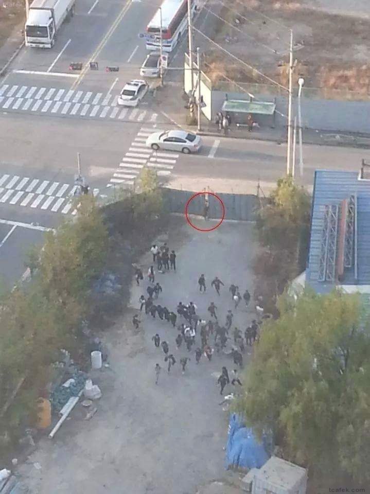 반도의 스나이퍼.jpg | 인스티즈
