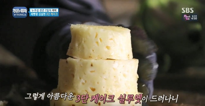 정글에서 생일을 맞은 찬성을 위해 설현이 만든 파인애플 3단케이크.jpg | 인스티즈