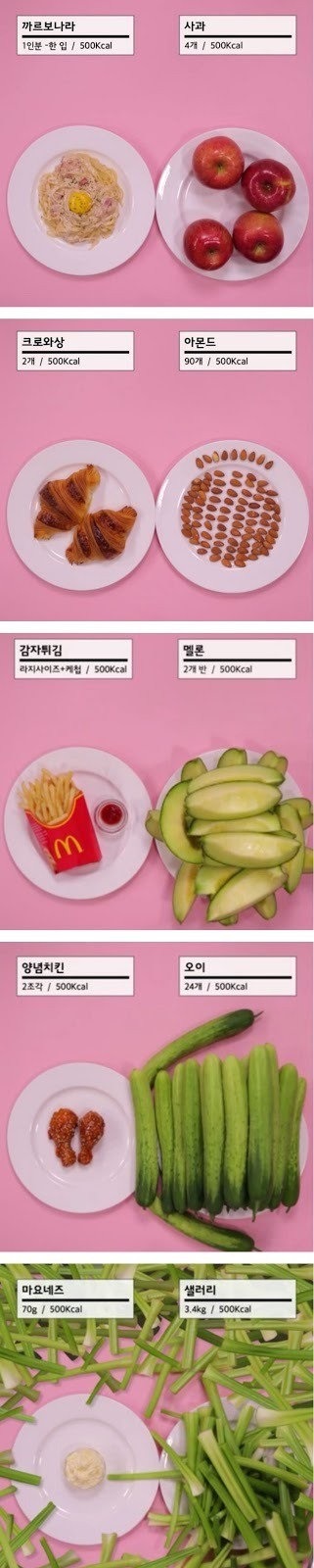 500칼로리 비교 | 인스티즈