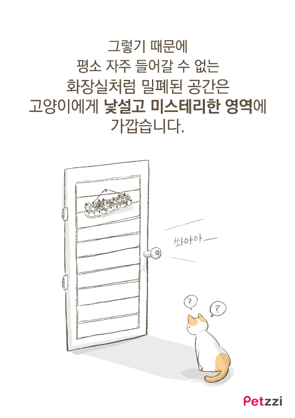 고양이들이 화장실 문앞에 기다리는 이유.jpg | 인스티즈