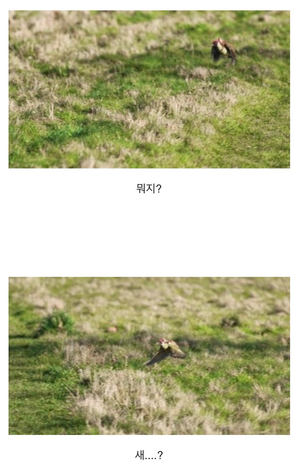 너 거기서 뭐하니? | 인스티즈