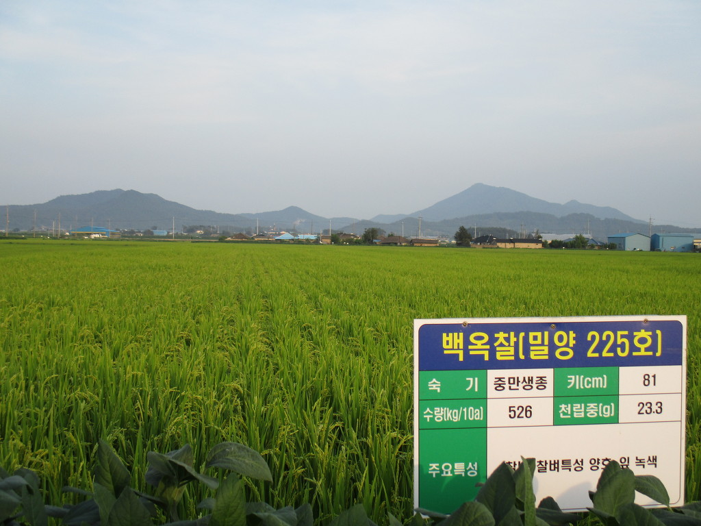 들깨랑팥이랑 이미지