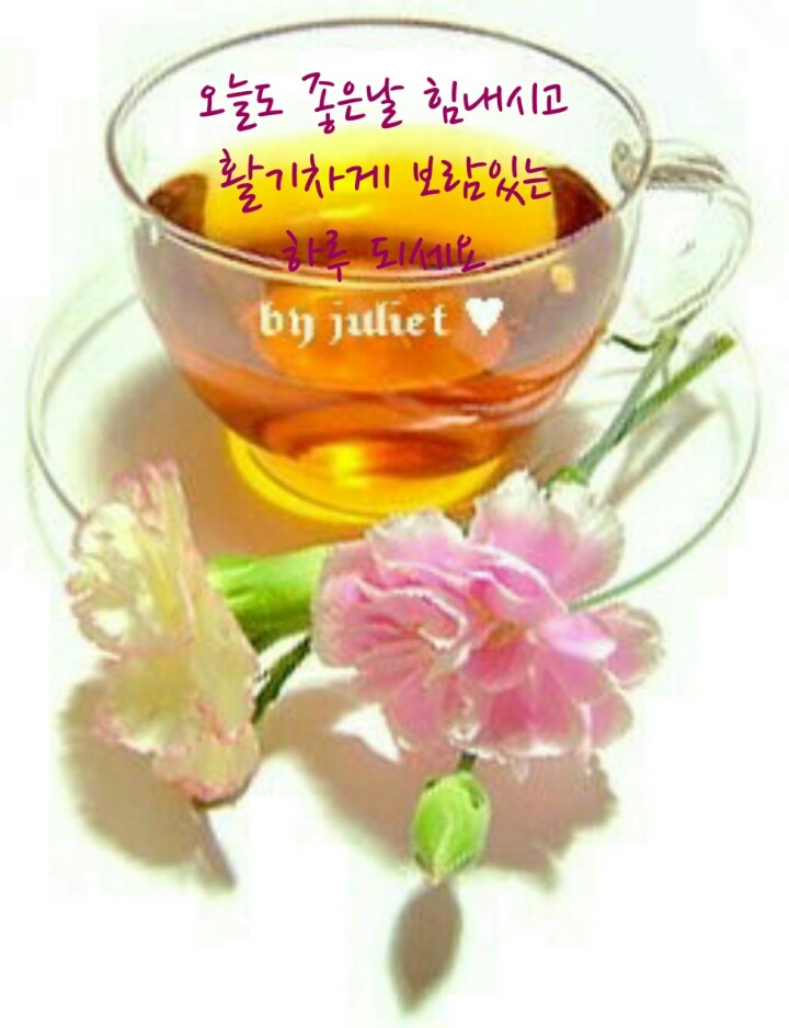 행운18 이미지