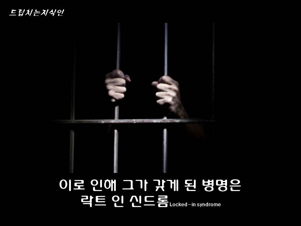  어마어마한 일들을 하고 있는 첨단 뇌공학 | 인스티즈