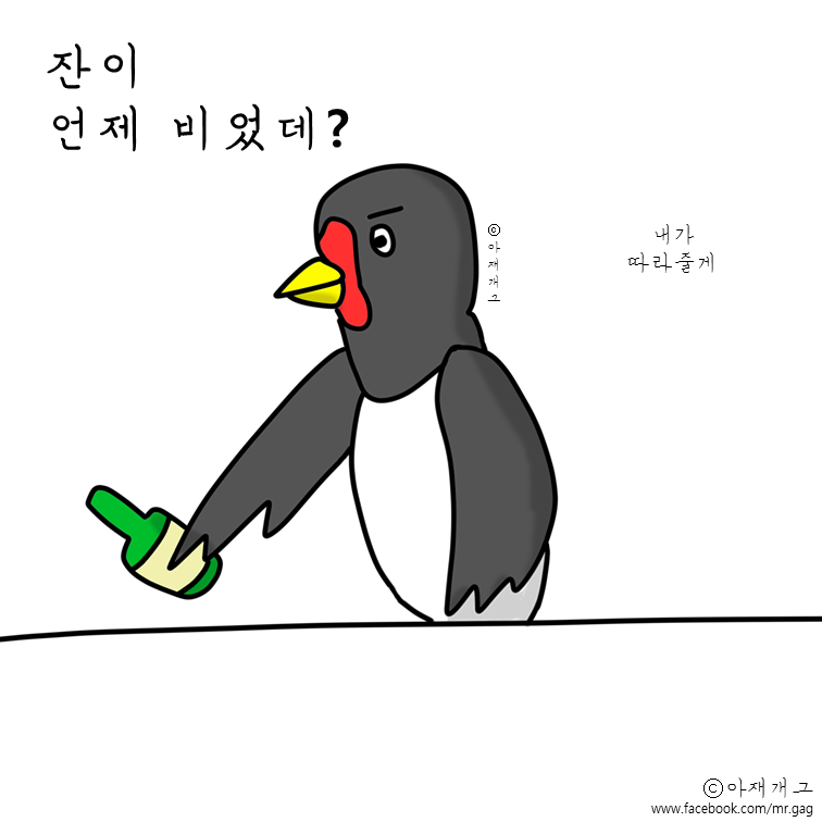 새들이 술마실때 ㅋㅋㅋㅋㅋ | 인스티즈