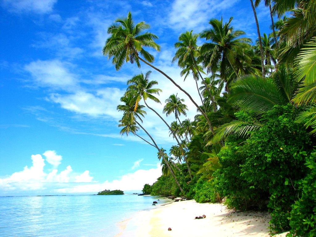 26140D3D5496BA8103344F