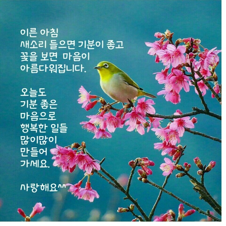 주말엔 이미지
